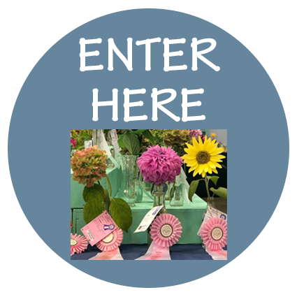 Enter Here